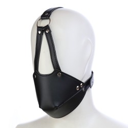 leather harness with rubber gag